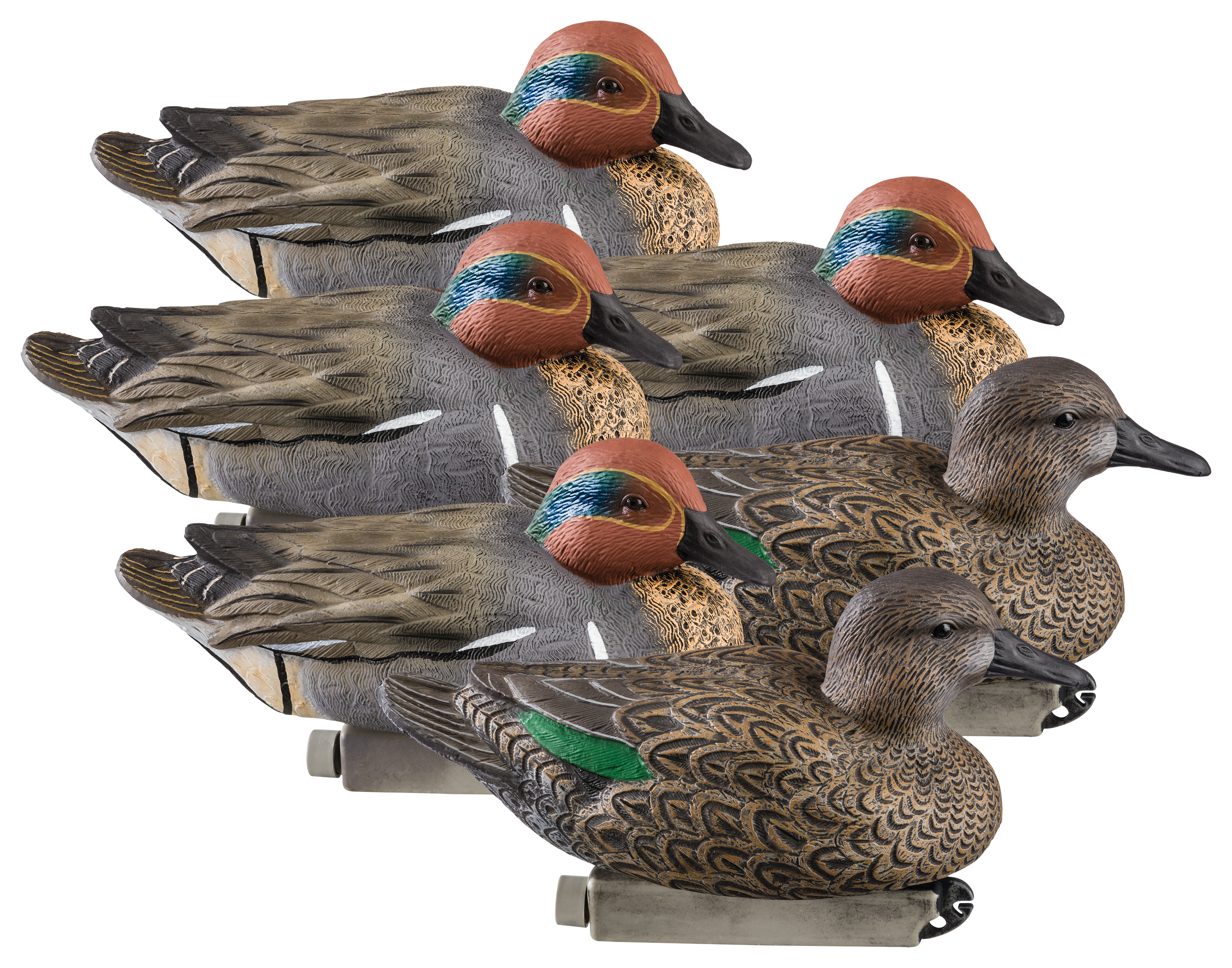 Cabela's Northern Flight F.L.D. GreenWinged Teal Duck Decoys Cabela's